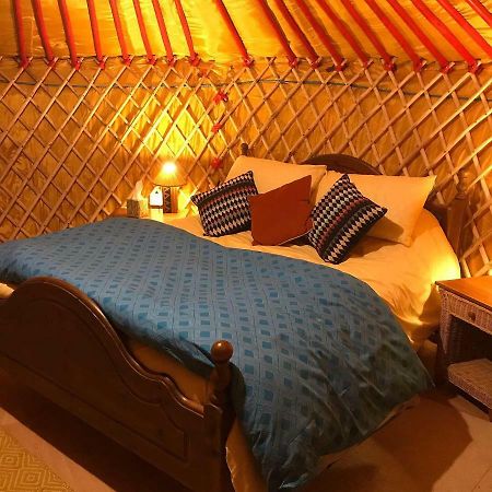 Mcclure Yurt At Carrigeen Glamping Kilkenny Kültér fotó