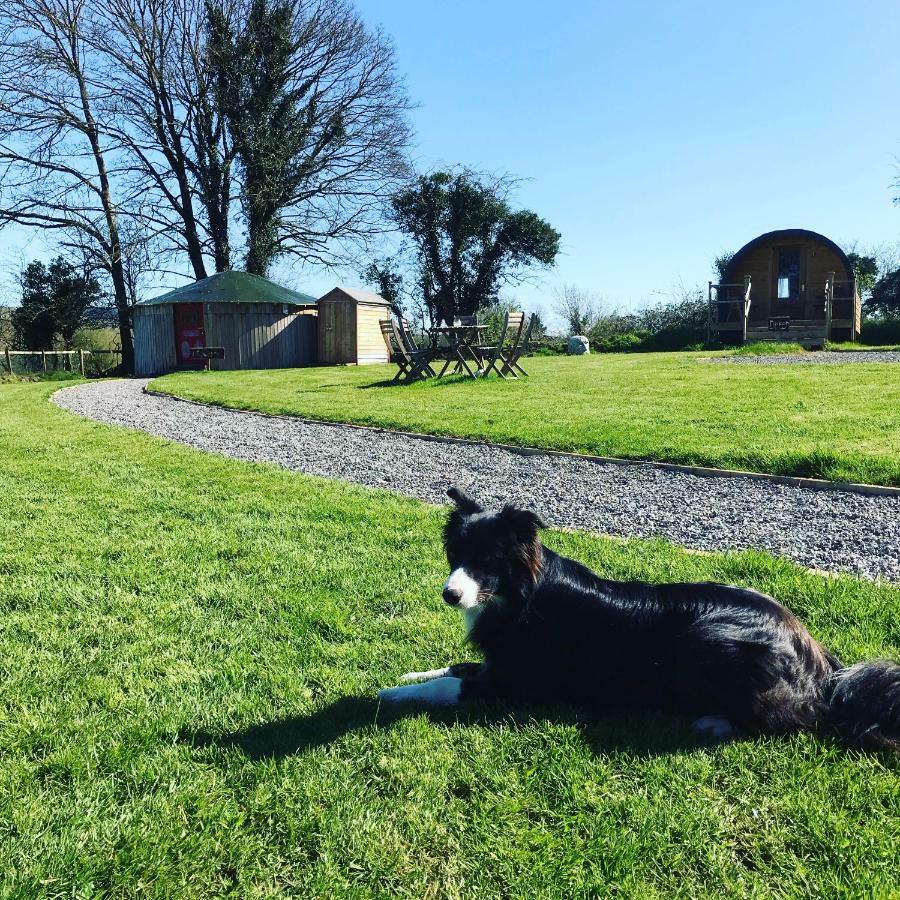 Mcclure Yurt At Carrigeen Glamping Kilkenny Kültér fotó